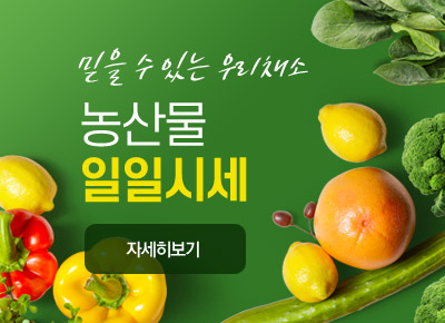 믿을 수 있는 우리채소 농산물 일일시세 자세히보기