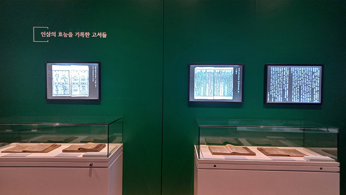 인삼박물관 기획전시실