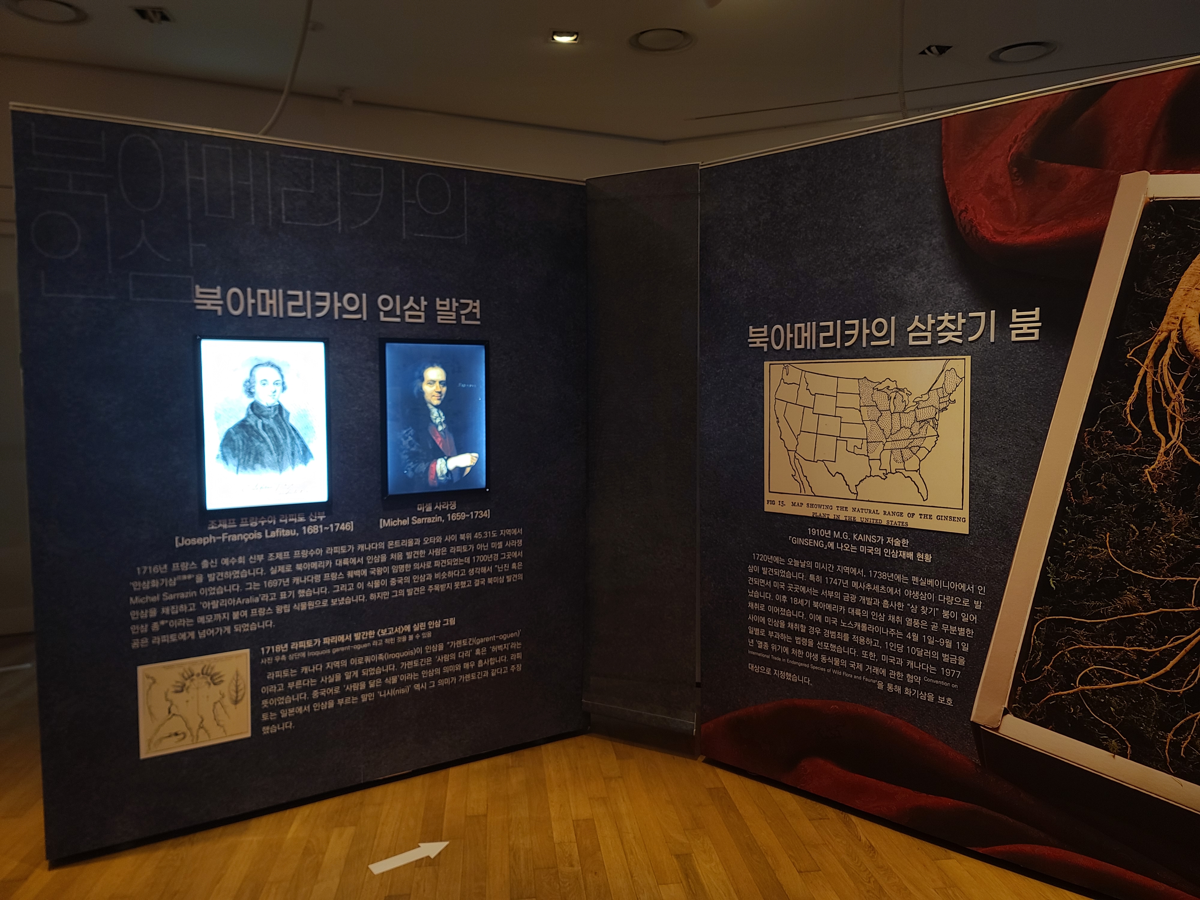 인삼박물관 기획전시실