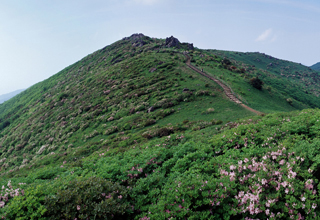 小白山国立公園