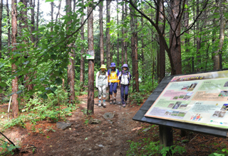 小白山山脚路