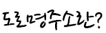 도로명주소란