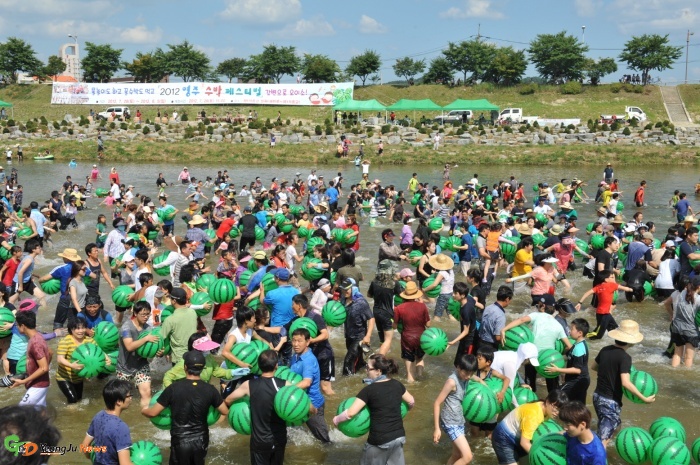 2012 영주꿀수박...